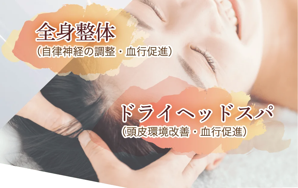 発毛に特化した整体。頭皮が硬い状態を薄毛に特化した施術で改善します。